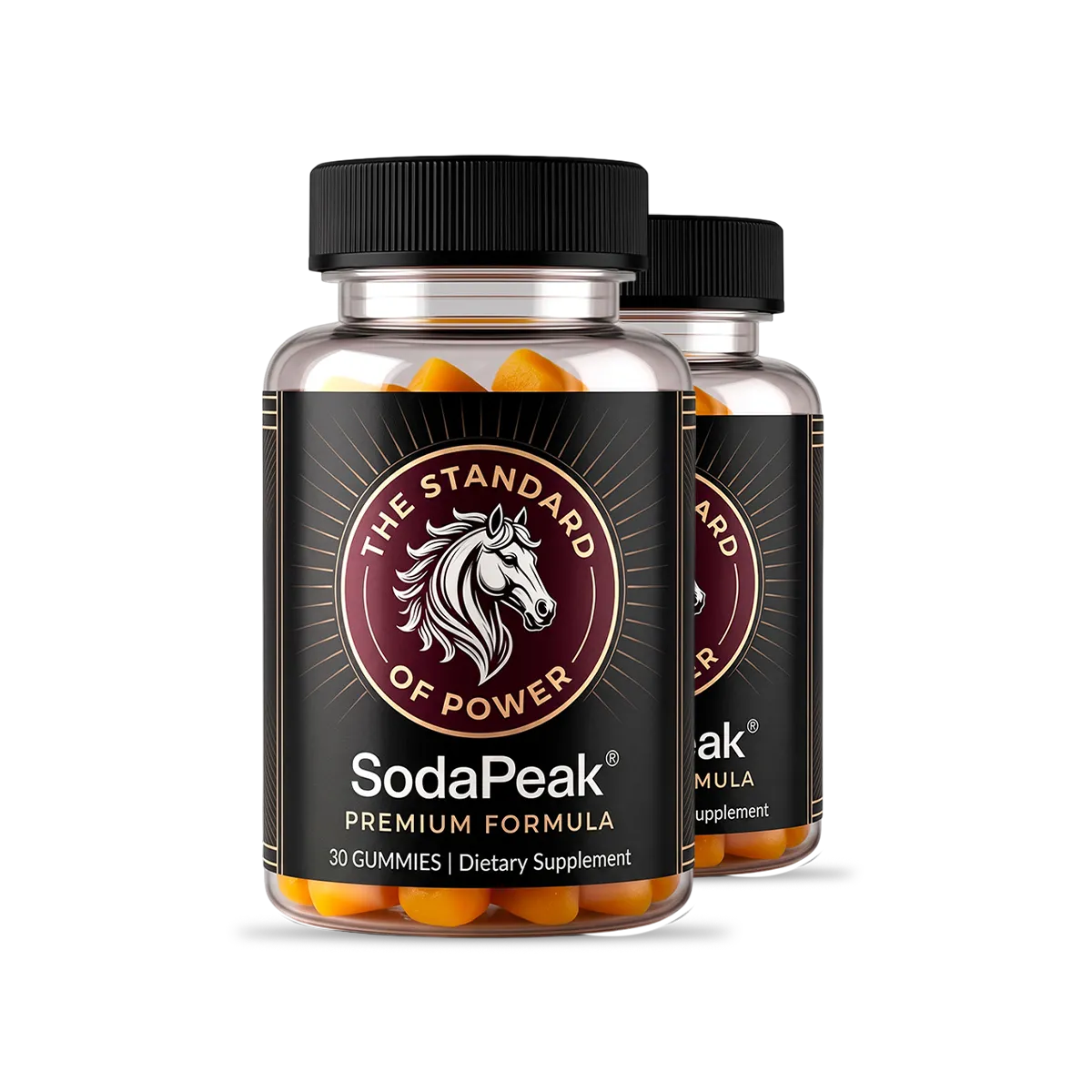 SodaPeak 2 Bottle Package