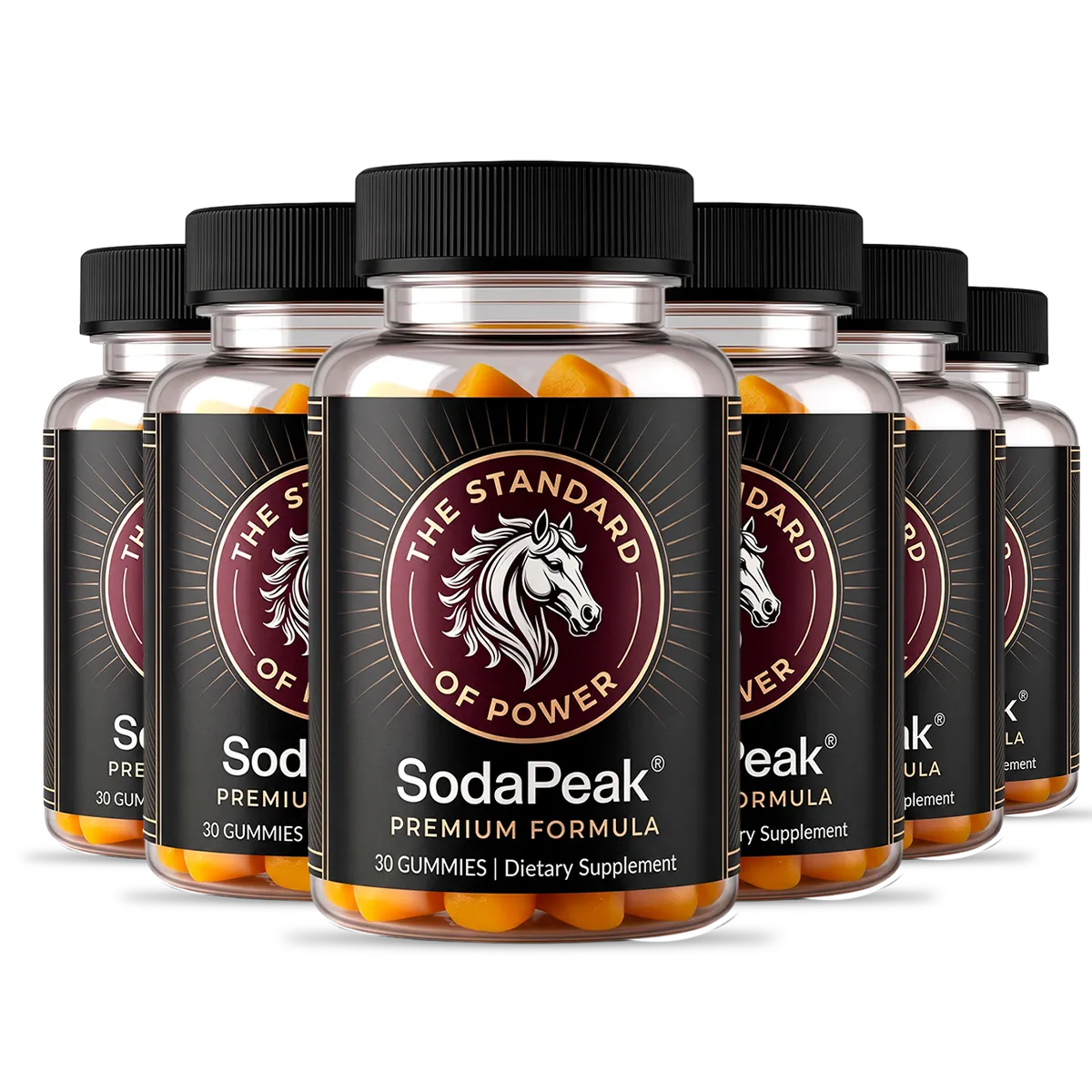 SodaPeak 6 Bottle Package